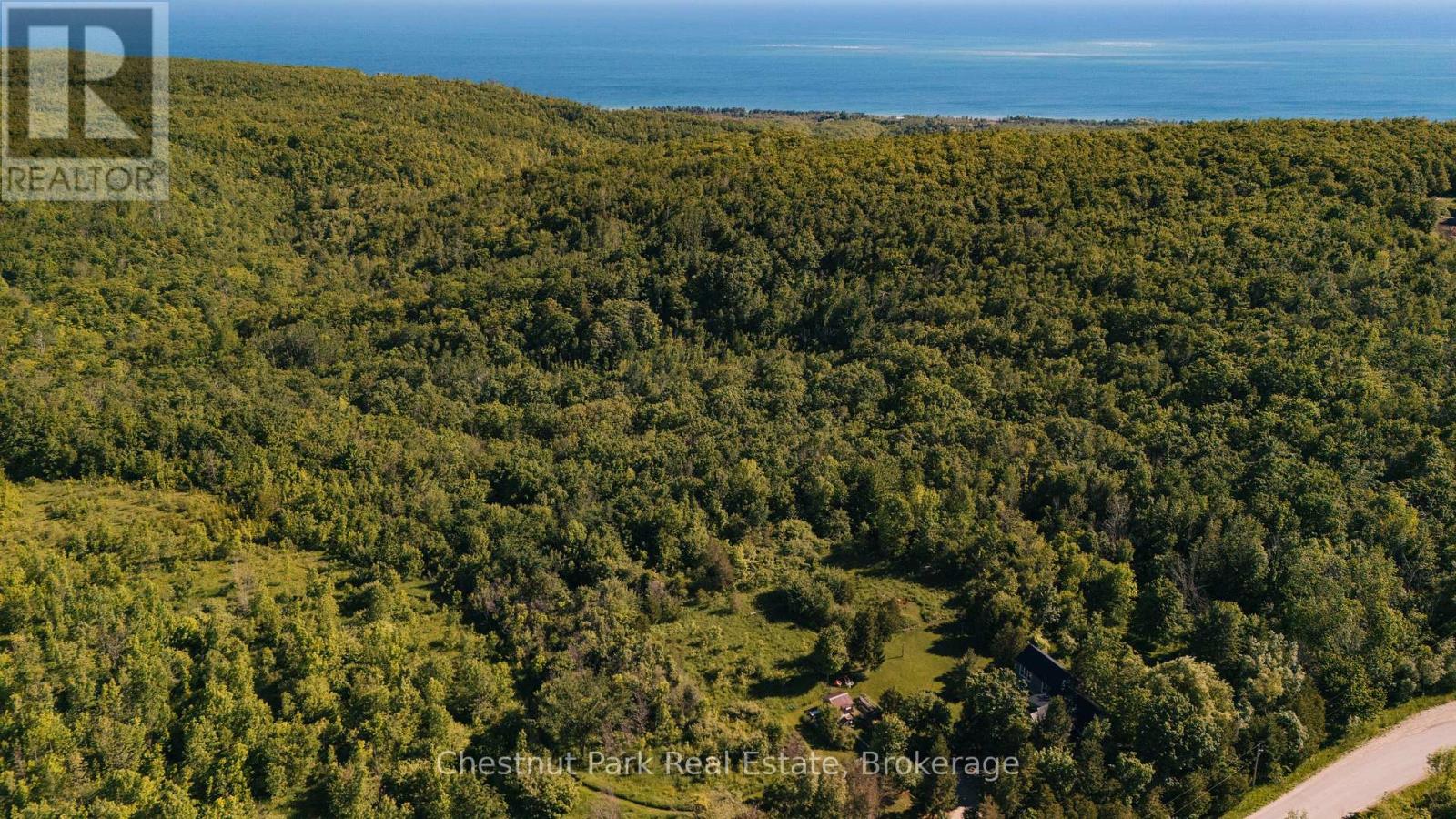 729297 21st Side Road, Blue Mountains, Ontario  N0H 1J0 - Photo 45 - X13456170
