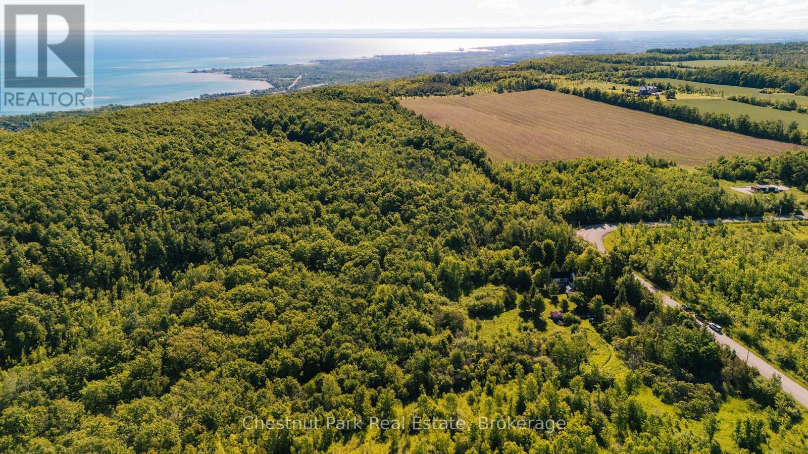 729297 21st Side Road, Blue Mountains, Ontario  N0H 1J0 - Photo 46 - X13456170