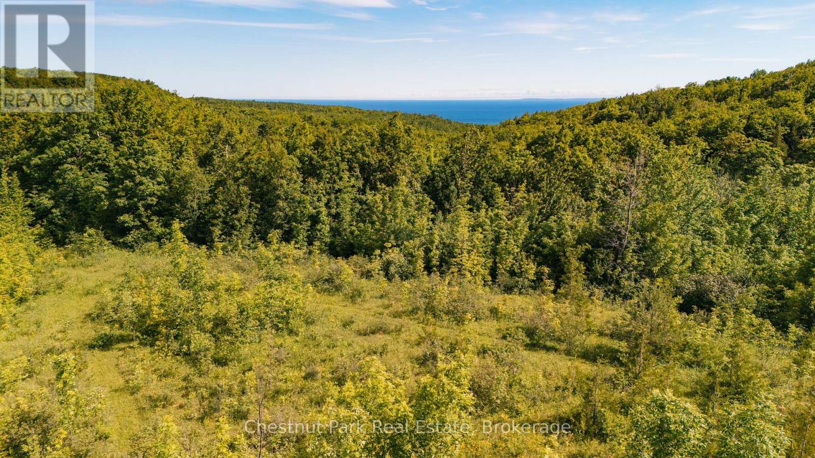 729297 21st Side Road, Blue Mountains, Ontario  N0H 1J0 - Photo 5 - X13456170