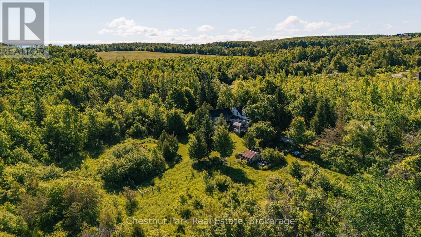 729297 21st Side Road, Blue Mountains, Ontario  N0H 1J0 - Photo 6 - X13456170