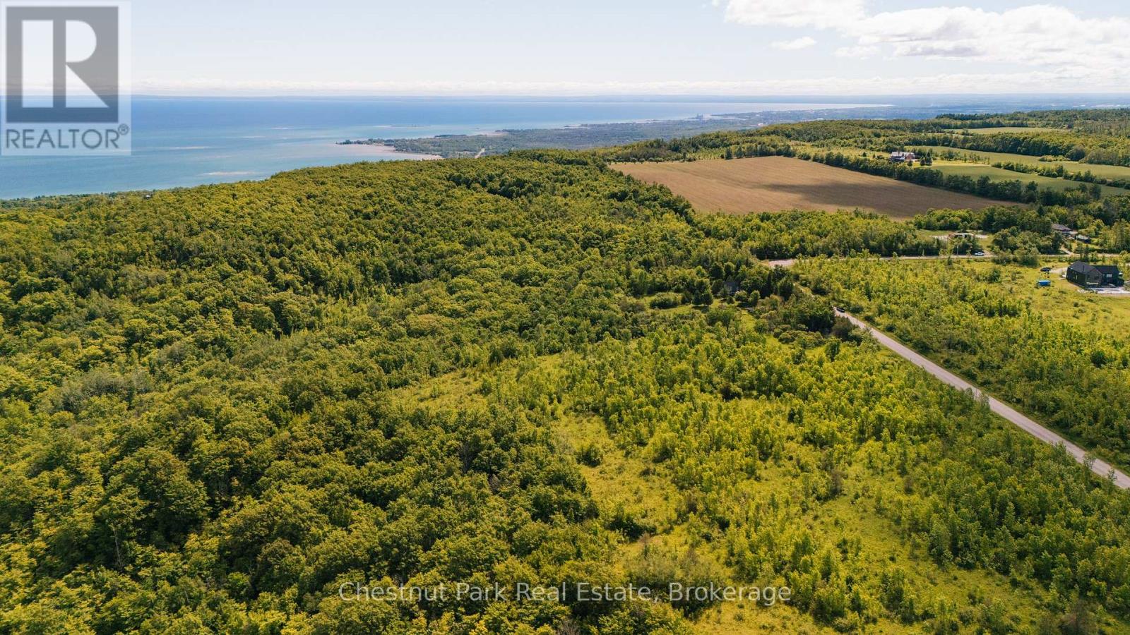 729297 21st Side Road, Blue Mountains, Ontario  N0H 1J0 - Photo 8 - X13456170