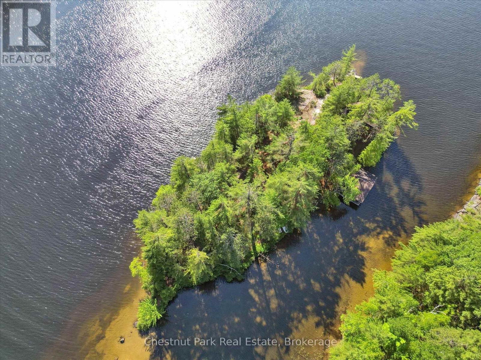 1 Diamond Island, Gravenhurst, Ontario  P1P 1R3 - Photo 4 - X13458660