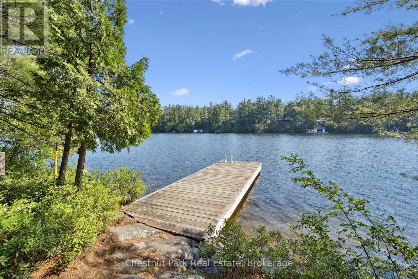 1 Diamond Island, Gravenhurst, Ontario  P1P 1R3 - Photo 41 - X13458660