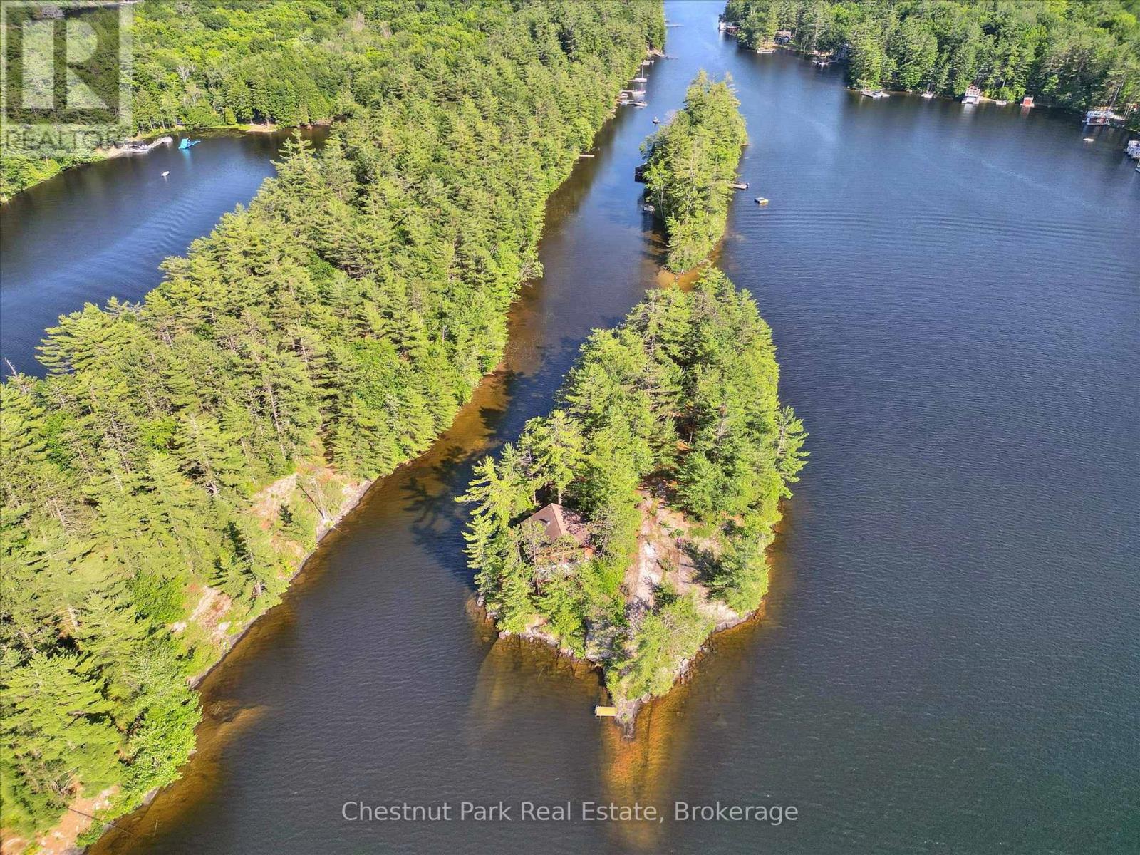 1 Diamond Island, Gravenhurst, Ontario  P1P 1R3 - Photo 5 - X13458660