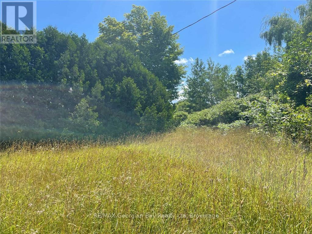6950 County Rd 93 Road, Tiny, Ontario  L0K 2E1 - Photo 3 - S13459454