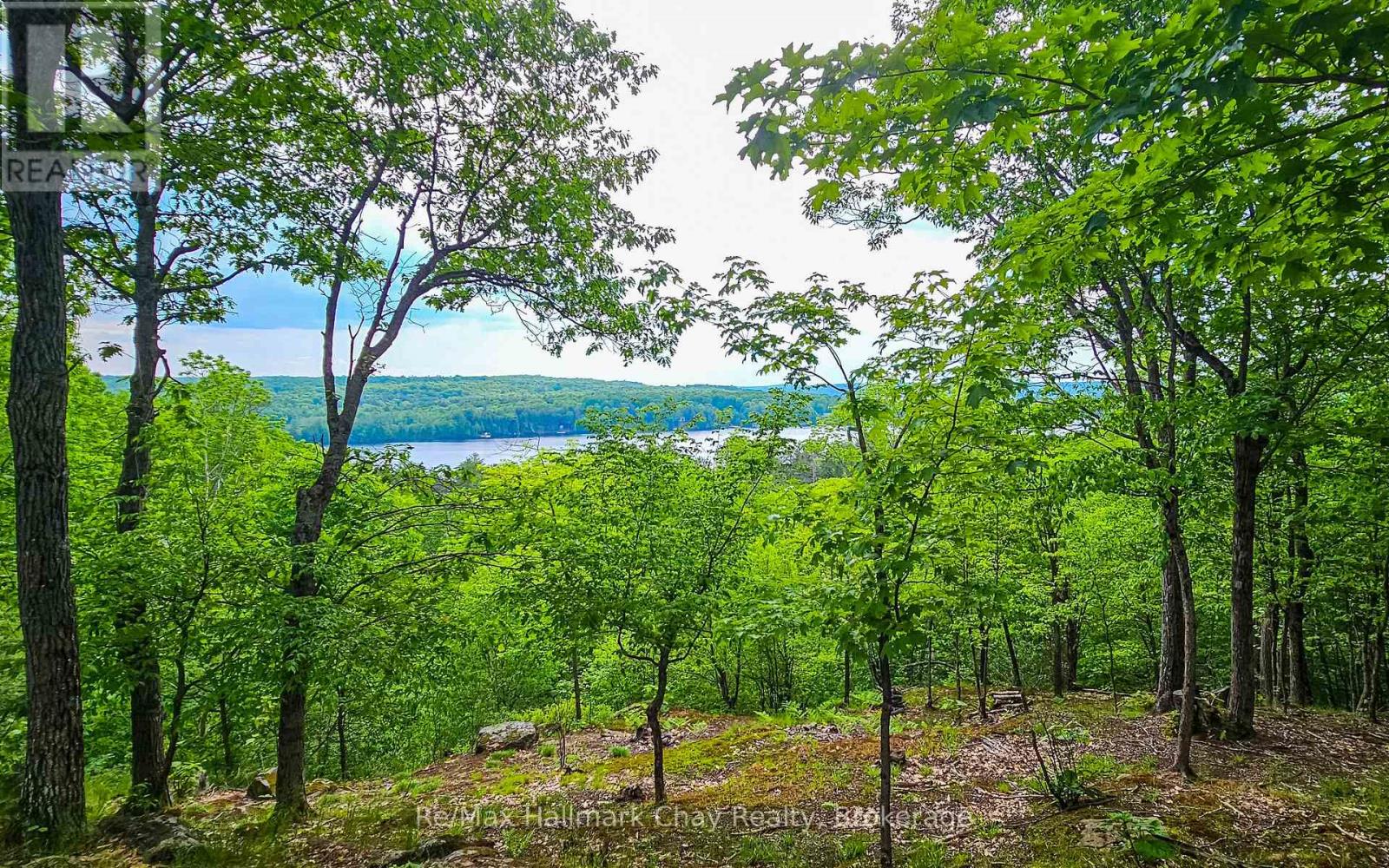 1497 Fox Point Road, Lake Of Bays, Ontario  P0A 1H0 - Photo 33 - X13459608