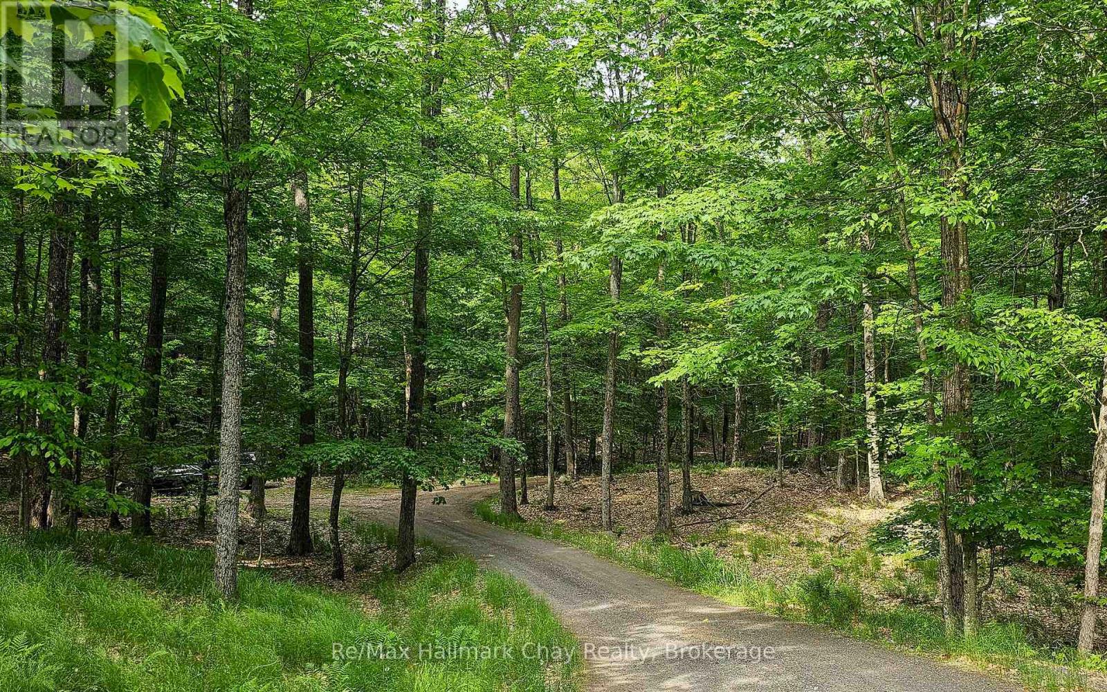 1497 Fox Point Road, Lake Of Bays, Ontario  P0A 1H0 - Photo 34 - X13459608