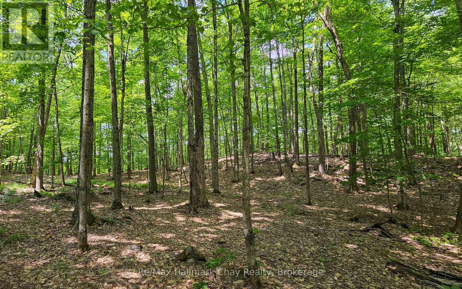 1497 Fox Point Road, Lake Of Bays, Ontario  P0A 1H0 - Photo 36 - X13459608