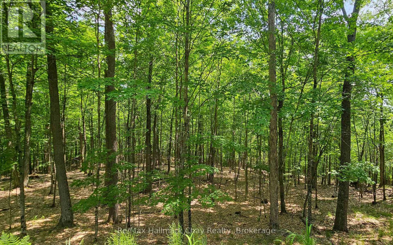 1497 Fox Point Road, Lake Of Bays, Ontario  P0A 1H0 - Photo 37 - X13459608
