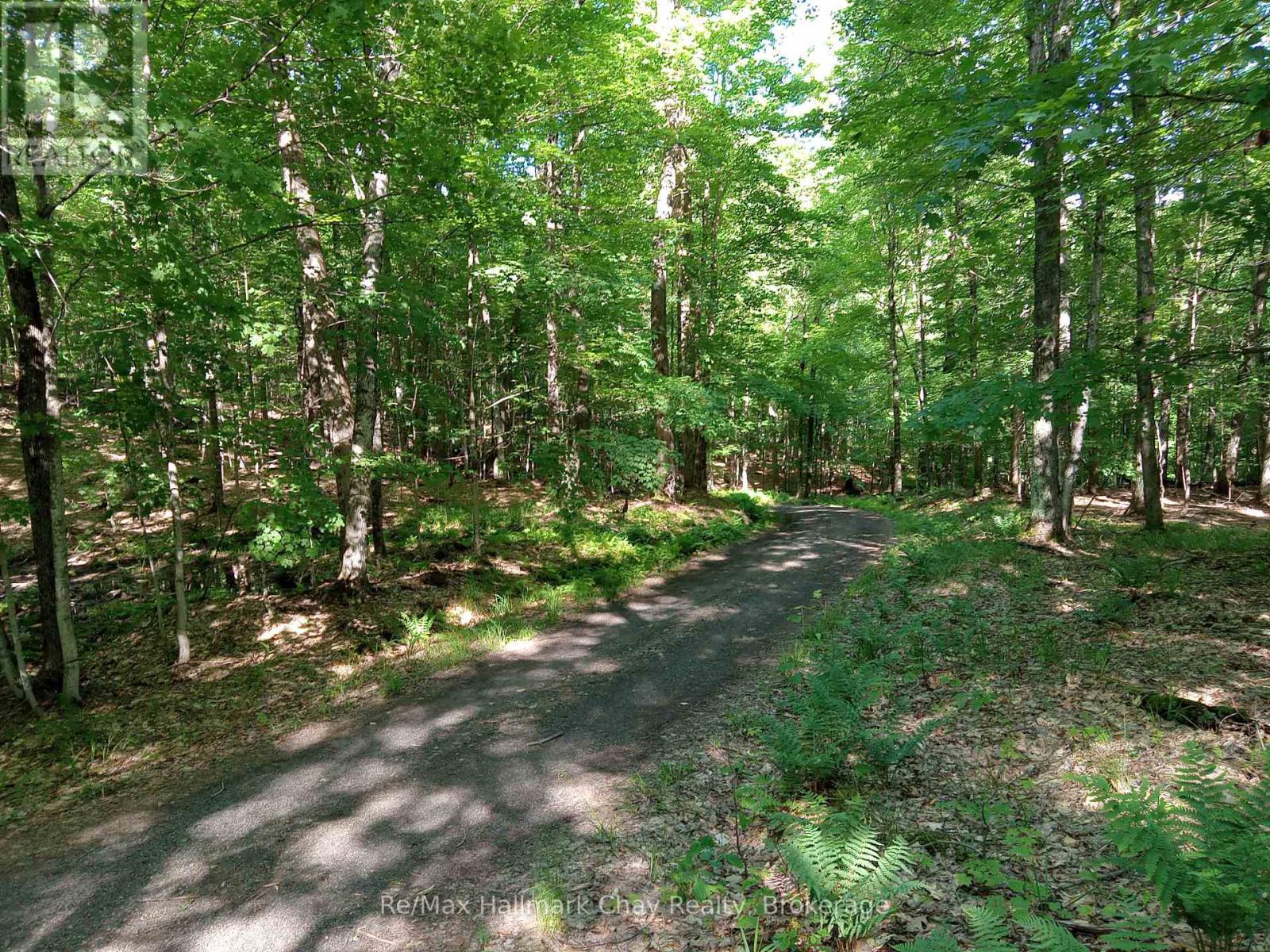 1497 Fox Point Road, Lake Of Bays, Ontario  P0A 1H0 - Photo 41 - X13459608