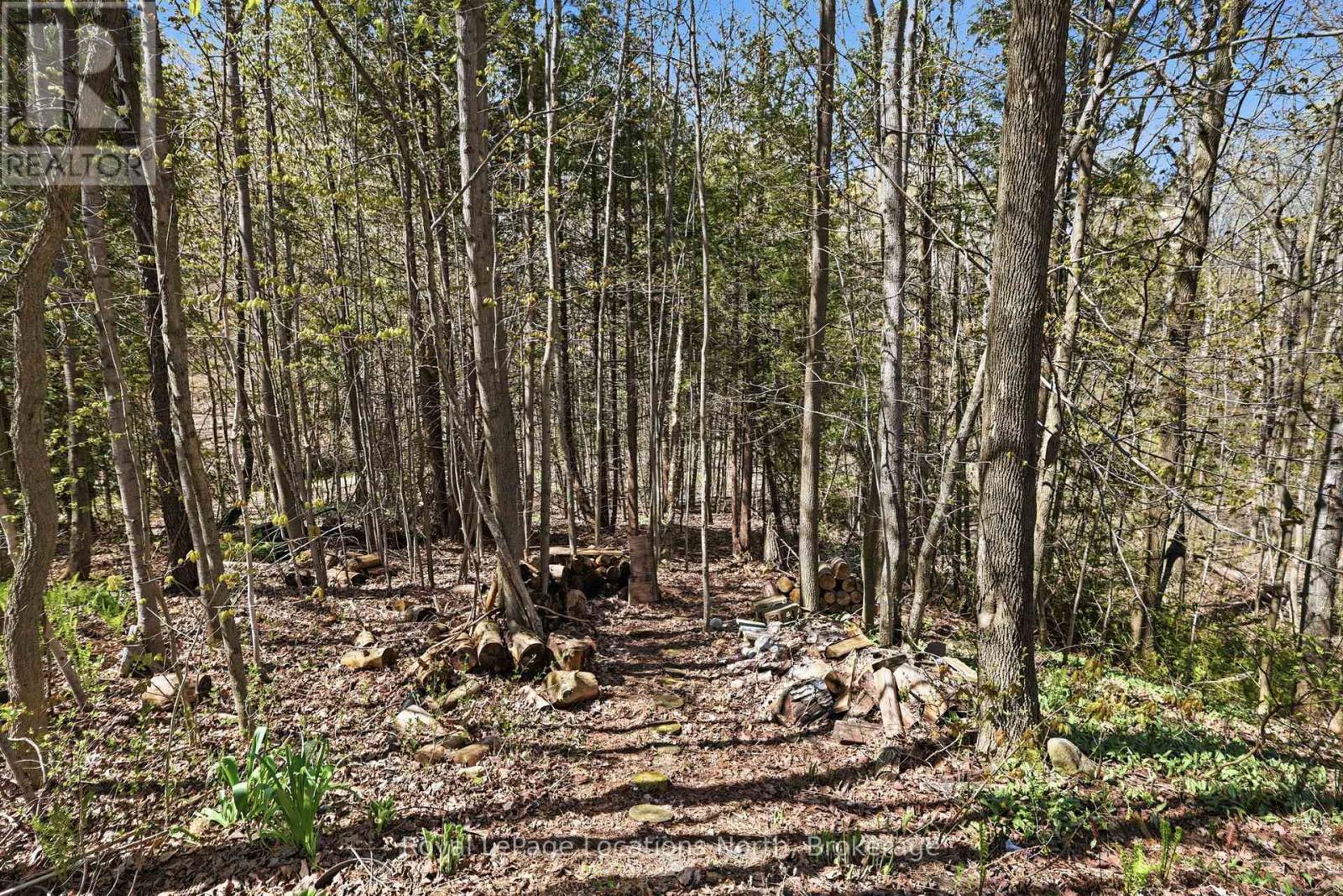 66 Gordon Crescent, Meaford, Ontario  N4L 1C7 - Photo 24 - X13461362