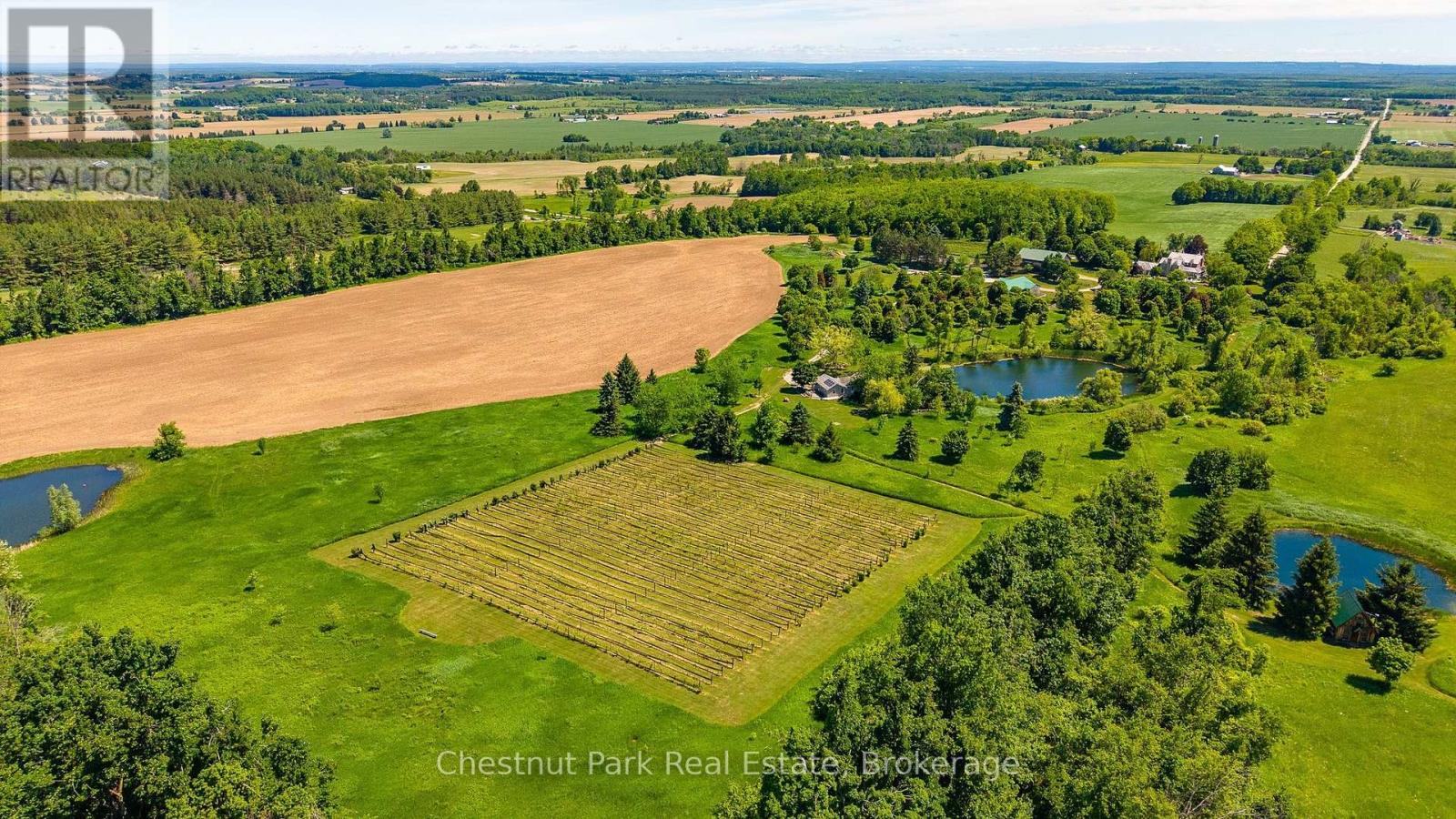 3554 Concession 3, Clearview, Ontario  L0M 1G0 - Photo 49 - S13462930