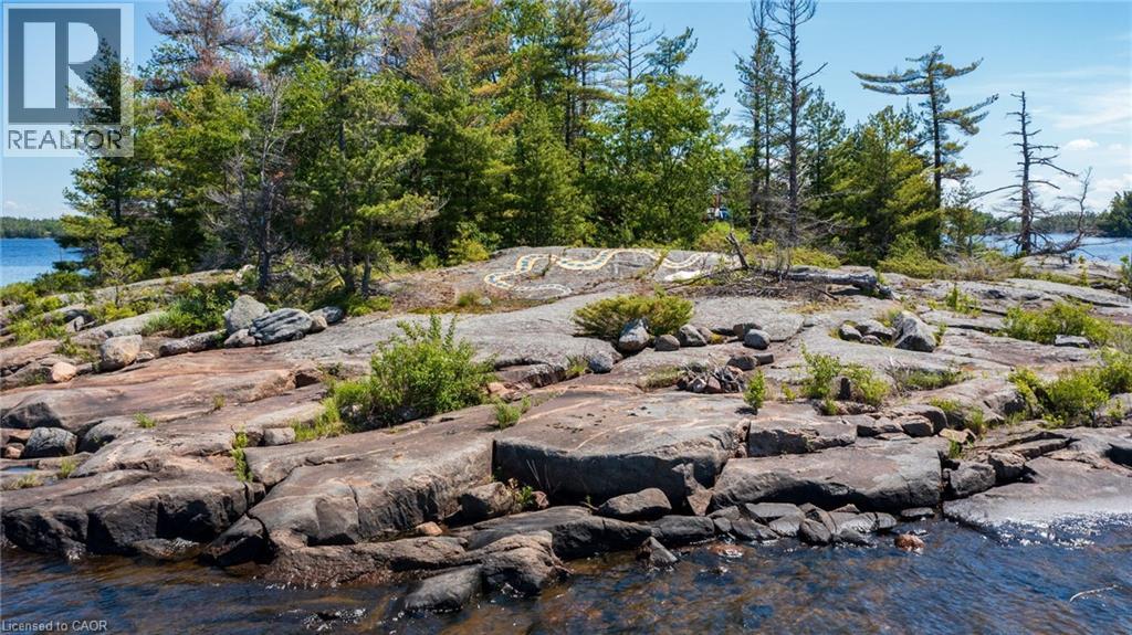 1 B254 Island, The Archipelago, Ontario  P0C 1H0 - Photo 27 - 40841236