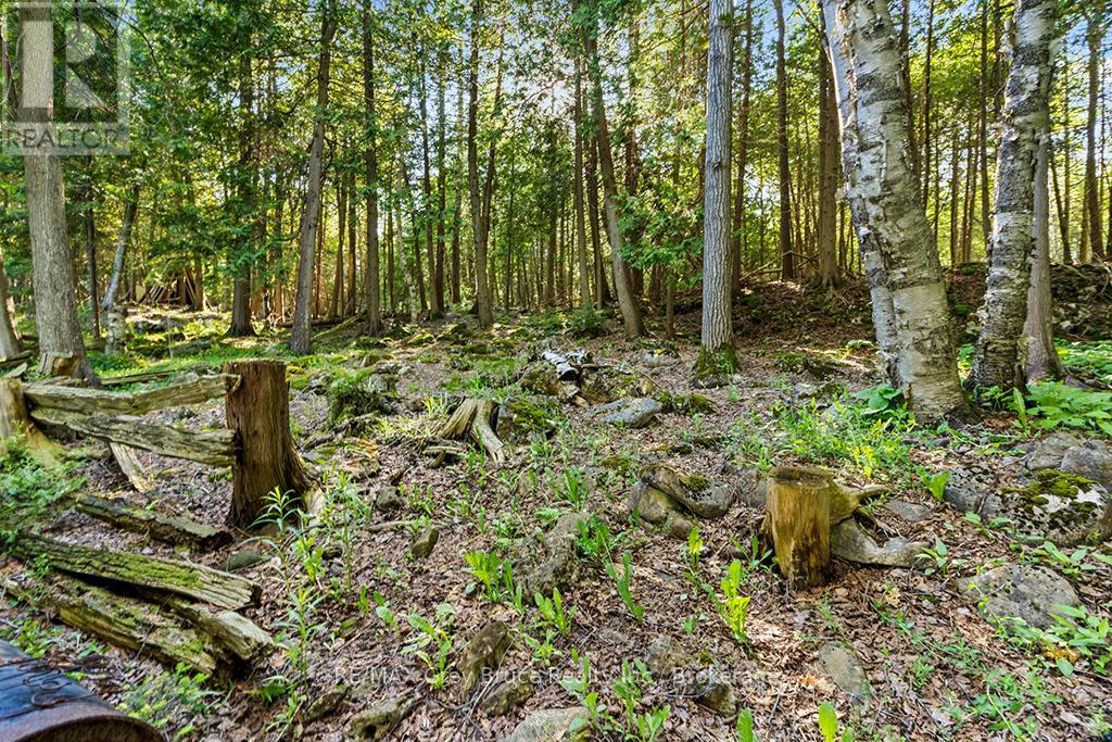 609 Stokes Bay Road, Northern Bruce Peninsula, Ontario  N0H 2M0 - Photo 25 - X13465936