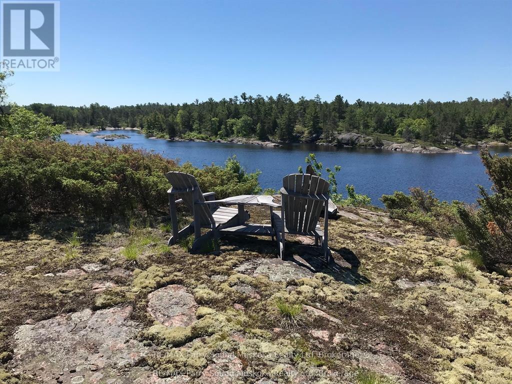 0 Pickerel River, Parry Sound Remote Area, Ontario  P0G 1J0 - Photo 5 - X13466812
