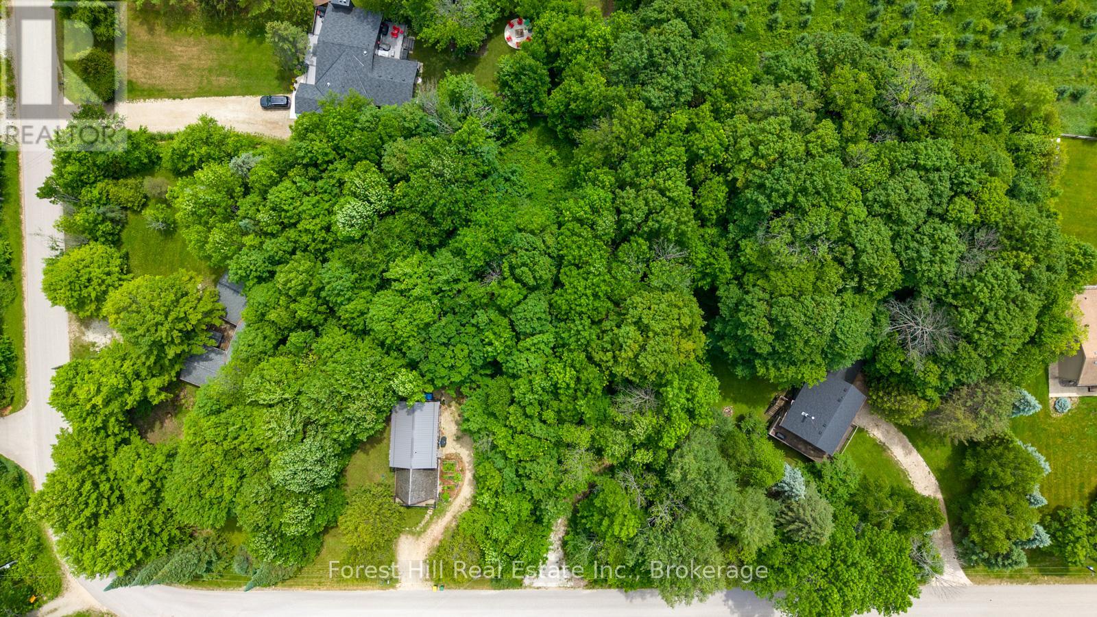 154 Bowles Bluff Road, Grey Highlands, Ontario  N0C 1H0 - Photo 16 - X13467932