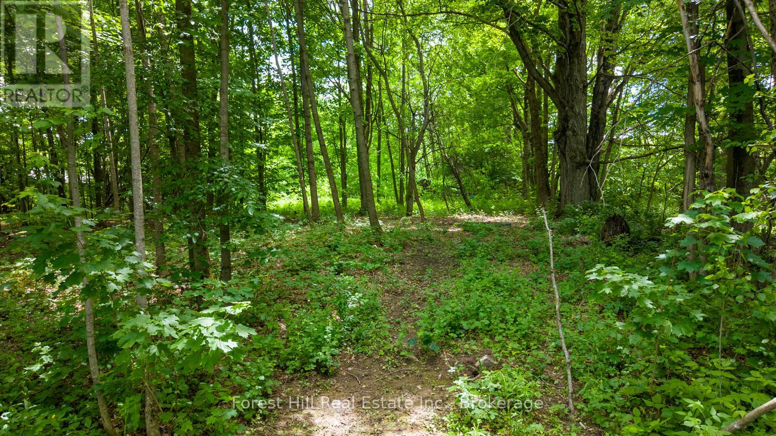 154 Bowles Bluff Road, Grey Highlands, Ontario  N0C 1H0 - Photo 5 - X13467932
