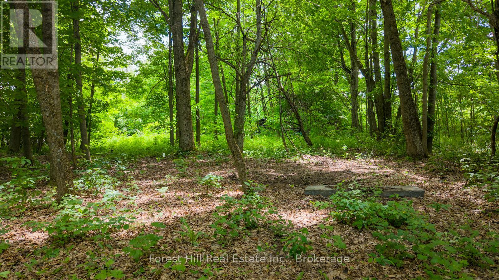 154 Bowles Bluff Road, Grey Highlands, Ontario  N0C 1H0 - Photo 6 - X13467932