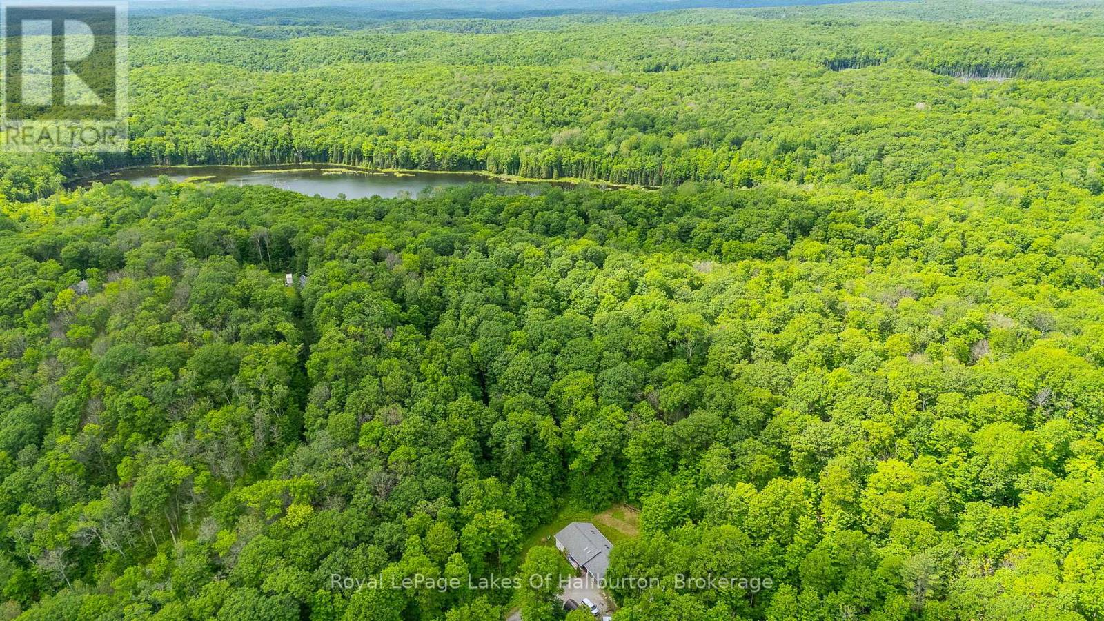 16741 Highway 118, Dysart Et Al, Ontario  K0M 1S0 - Photo 44 - X13468034
