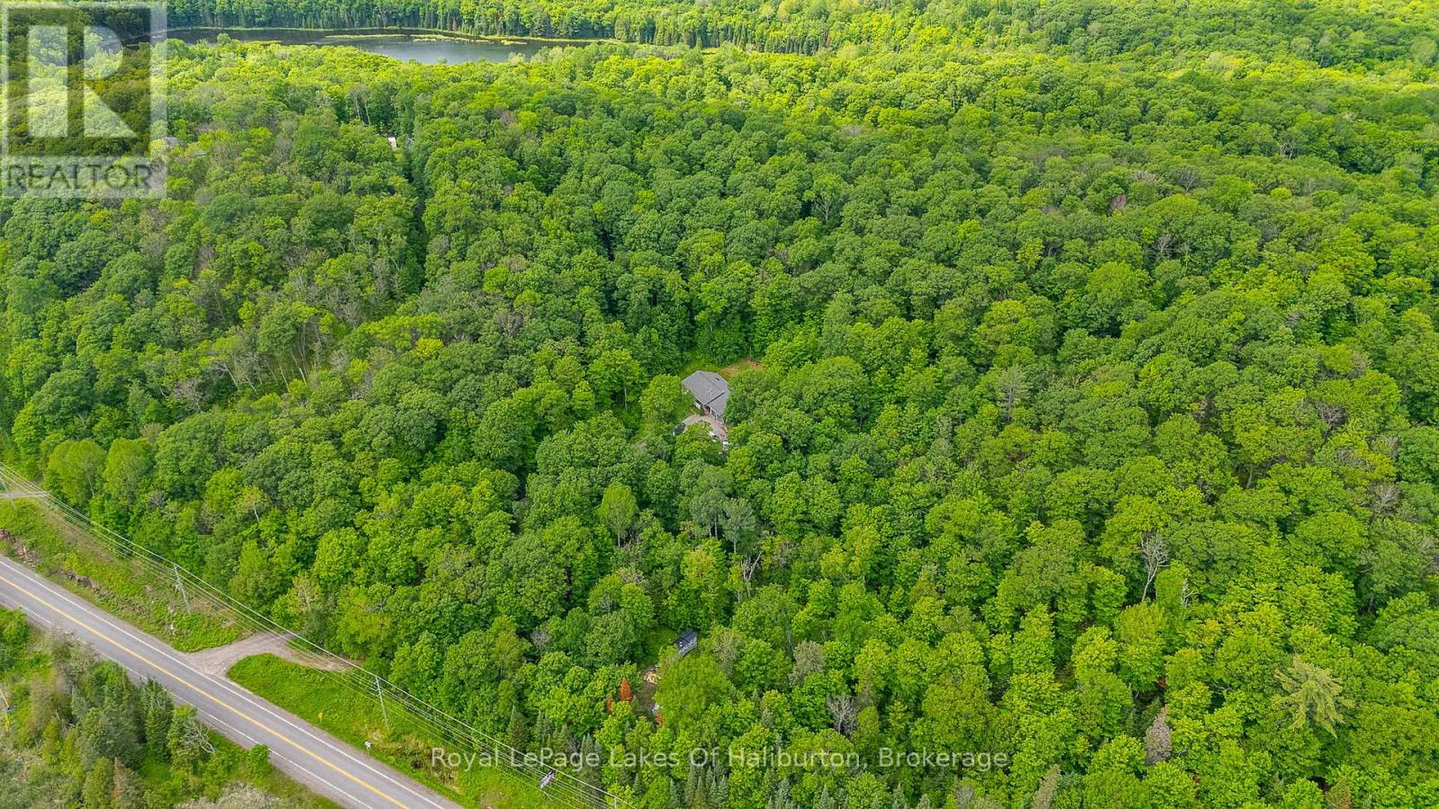 16741 Highway 118, Dysart Et Al, Ontario  K0M 1S0 - Photo 5 - X13468034