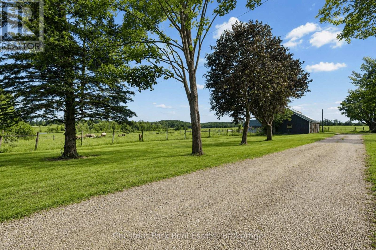 3734 Line 12 N, Oro-Medonte, Ontario  L0K 1E0 - Photo 5 - S13468534