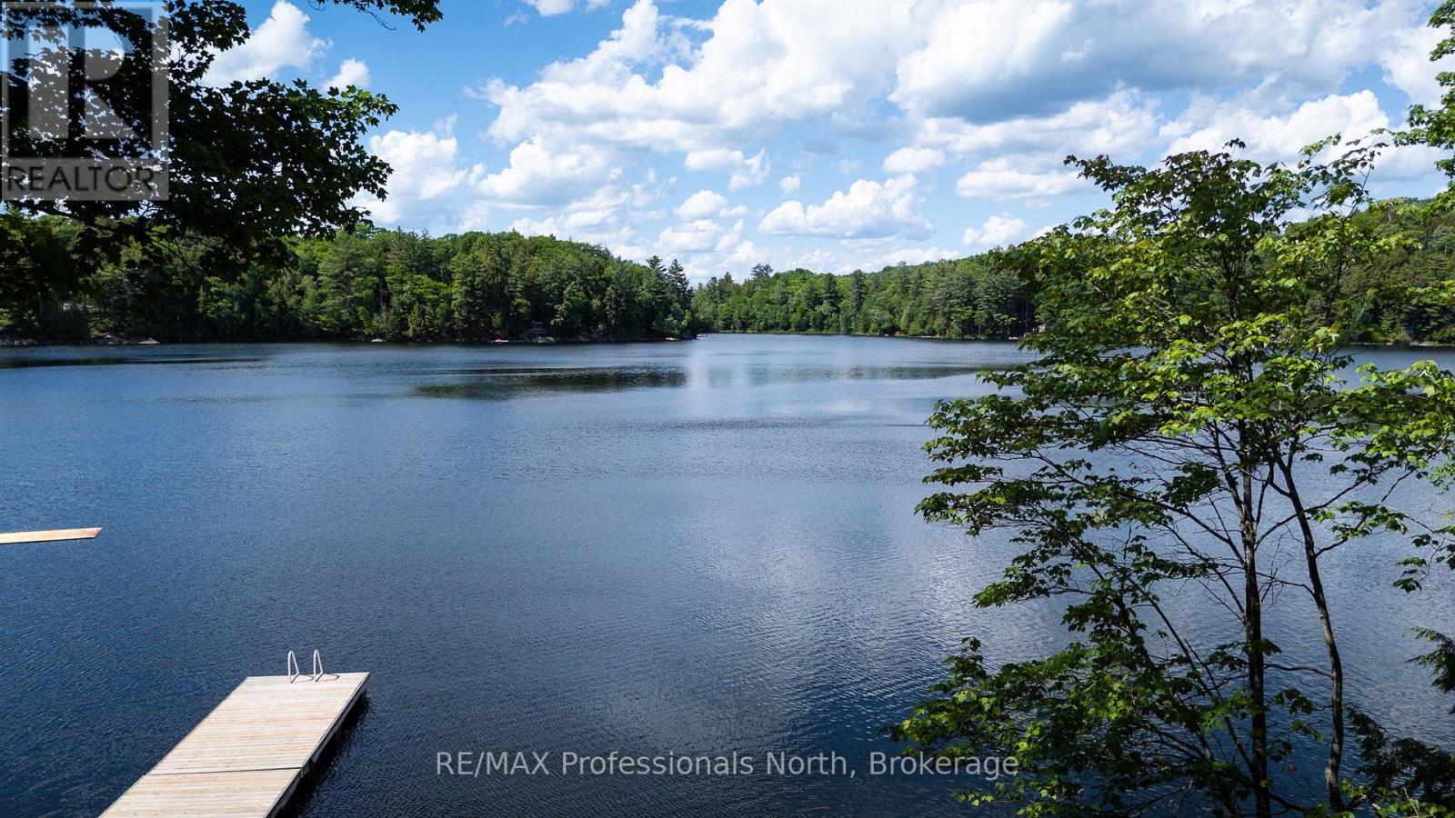 1016 Twilight Close, Algonquin Highlands, Ontario  P0A 1E0 - Photo 29 - X13469454