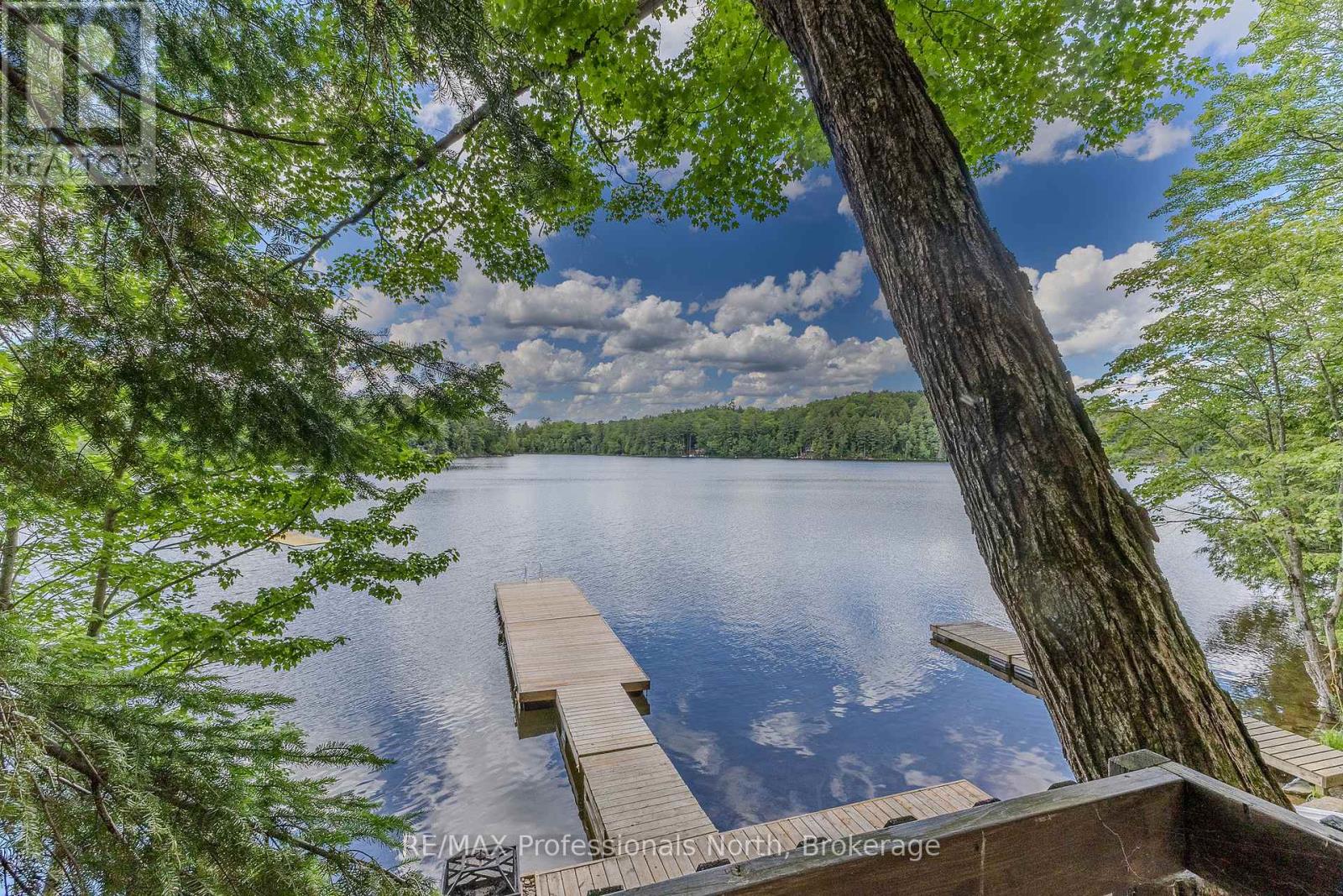 1016 Twilight Close, Algonquin Highlands, Ontario  P0A 1E0 - Photo 3 - X13469454