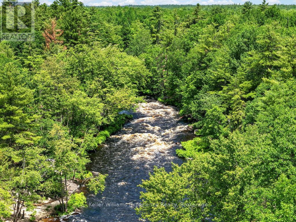 7510 Martinelli Road, Ramara, Ontario  L0K 2B0 - Photo 29 - S13470106