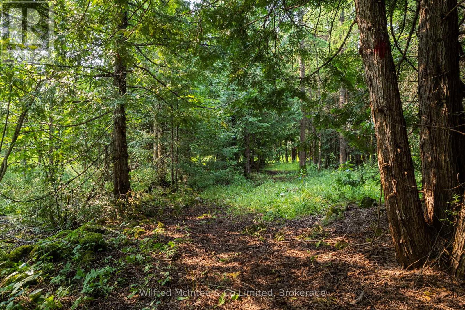 574461 Sideroad 40, West Grey, Ontario  N0C 1H0 - Photo 35 - X13470636