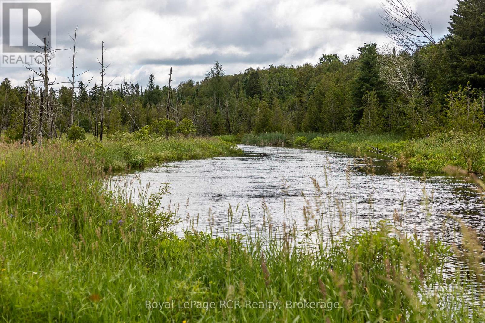 775355 Highway 10, Grey Highlands, Ontario  N0C 1H0 - Photo 27 - X13471428