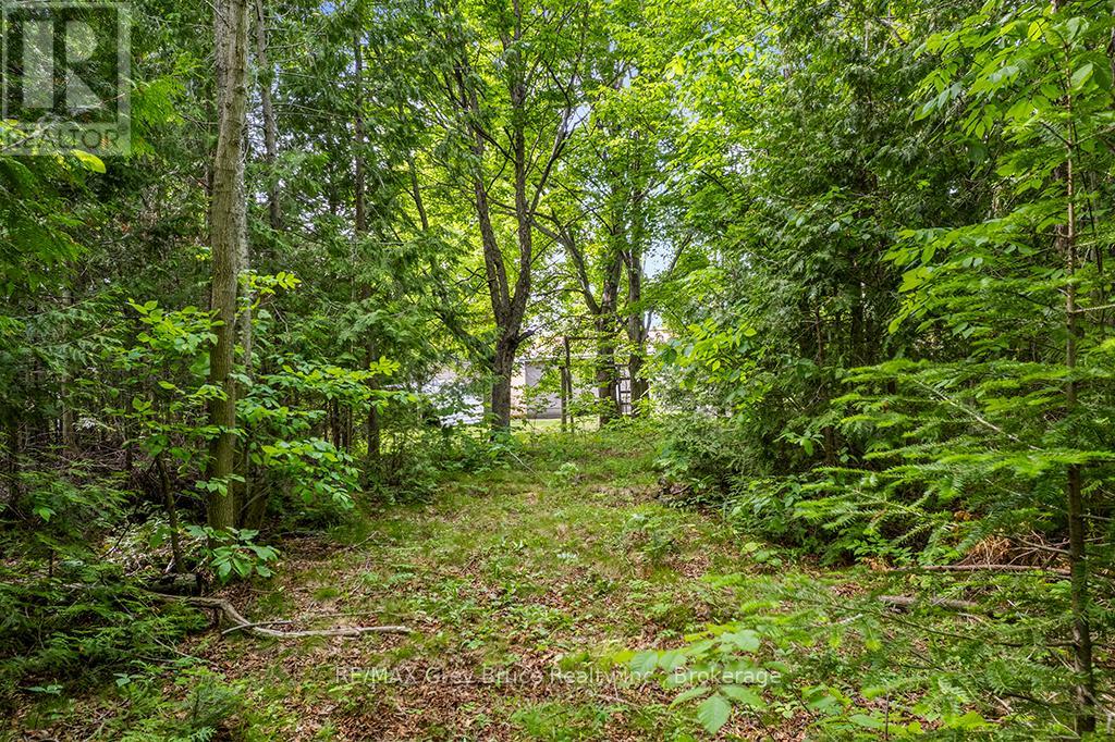 335 Pike Bay Road, Northern Bruce Peninsula, Ontario  N0H 1X0 - Photo 29 - X13472066