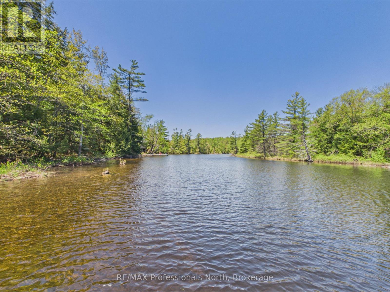 1215 118 Highway E, Bracebridge, Ontario  P1L 0K3 - Photo 3 - X13475226