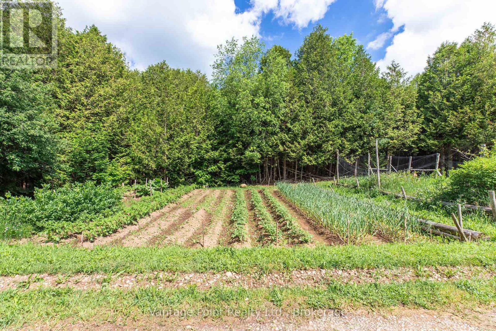 94 Fords Drive, Grey Highlands, Ontario  N0C 1H0 - Photo 25 - X13475950