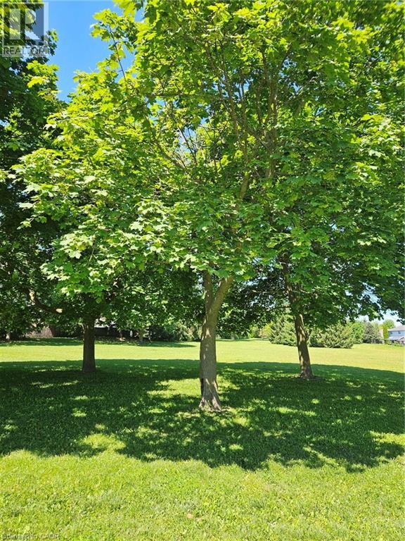 14 Rose Garden Street, Kitchener, Ontario  N2B 3T1 - Photo 50 - 40842067