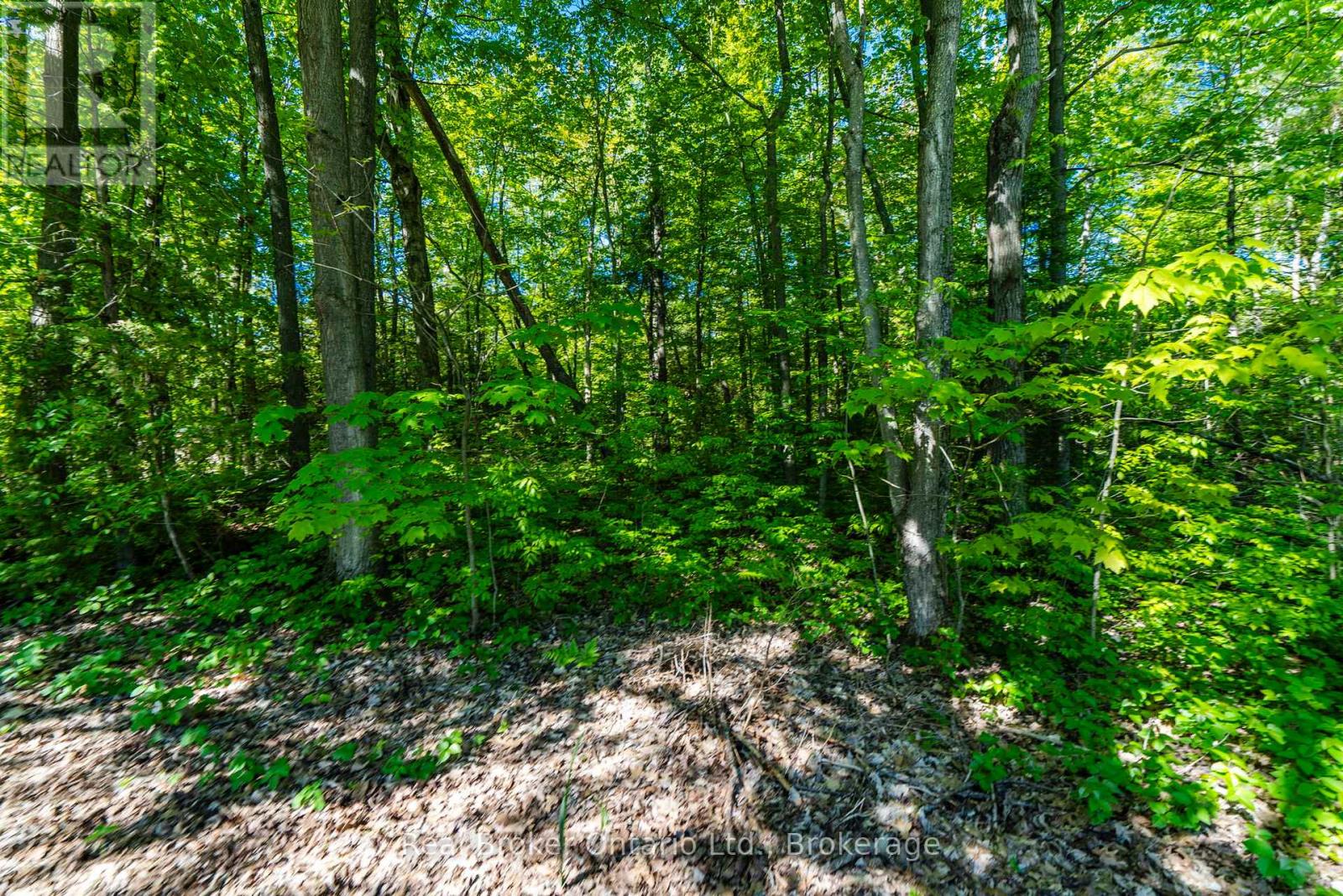 24 Poplar Drive, Tiny, Ontario  L9M 0J2 - Photo 27 - S13478192