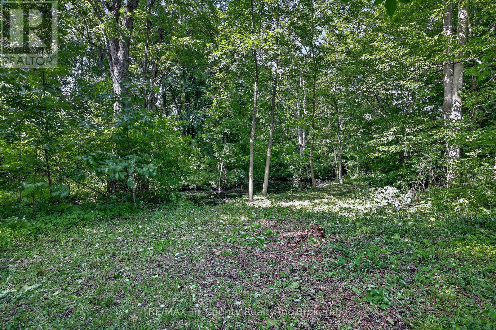 54427 Talbot Line, Bayham, Ontario  N0J 1Y0 - Photo 38 - X13478074