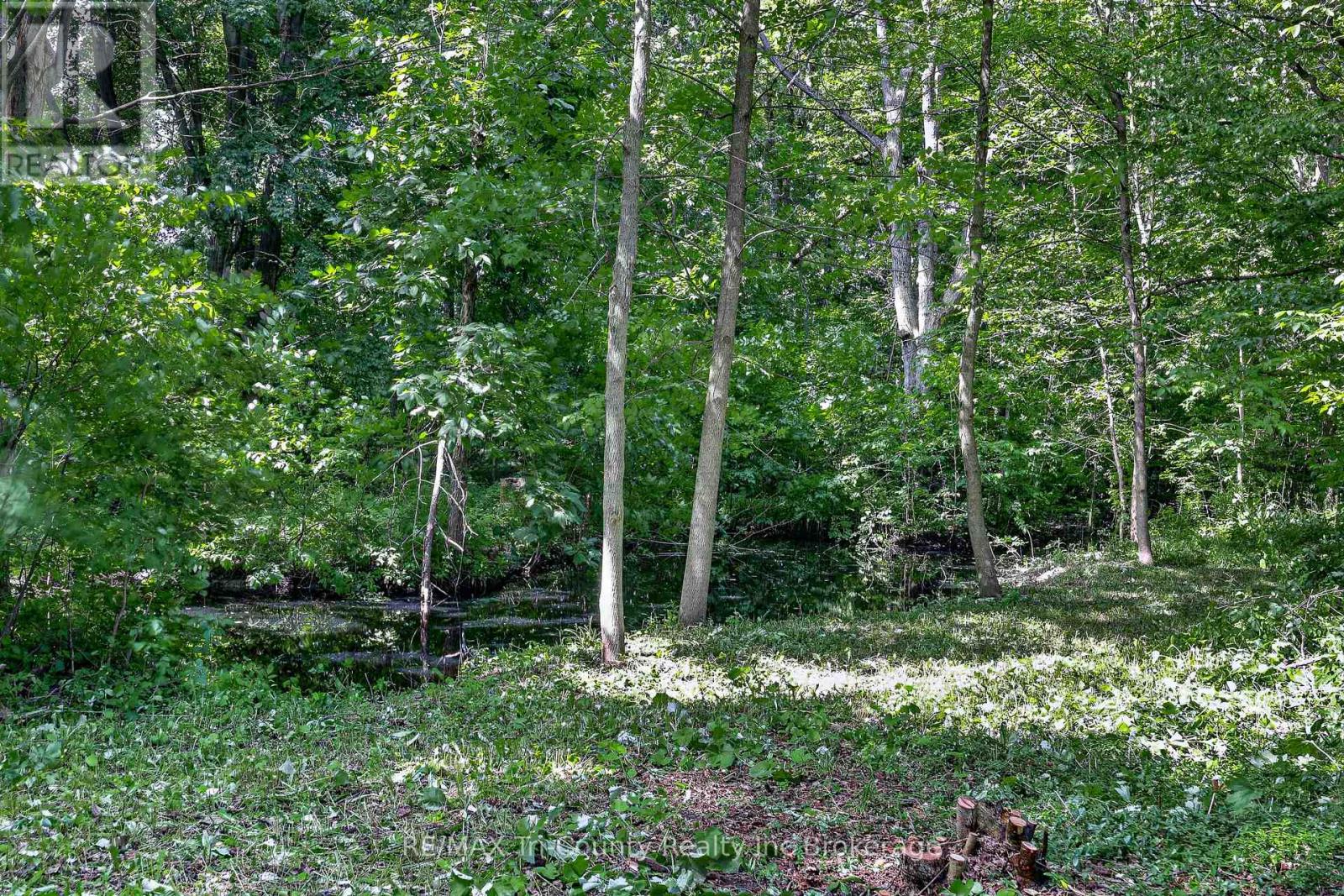 54427 Talbot Line, Bayham, Ontario  N0J 1Y0 - Photo 39 - X13478074