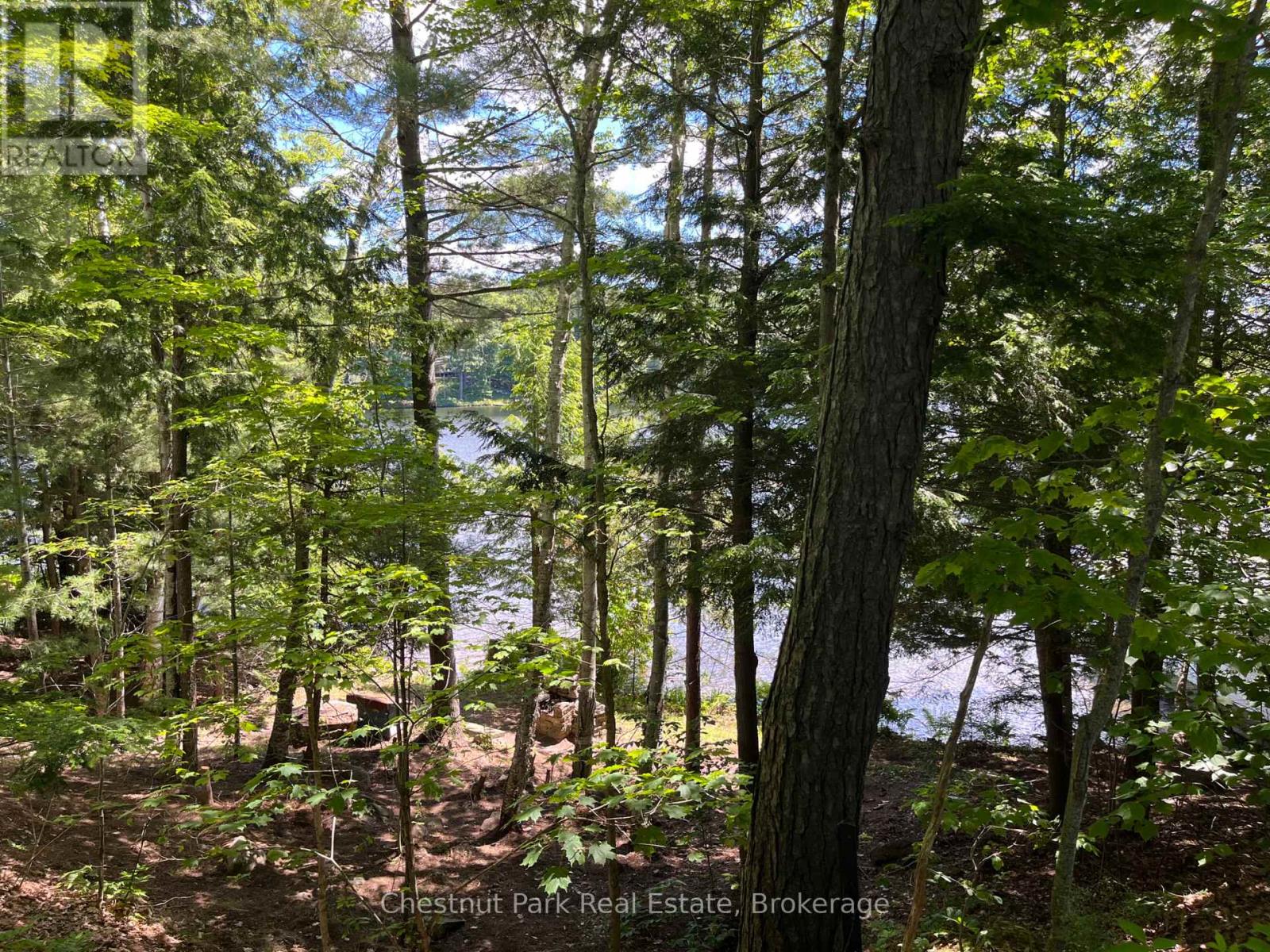 10 - 1211 Foreman Road S, Muskoka Lakes, Ontario  P0B 1J0 - Photo 21 - X13480062