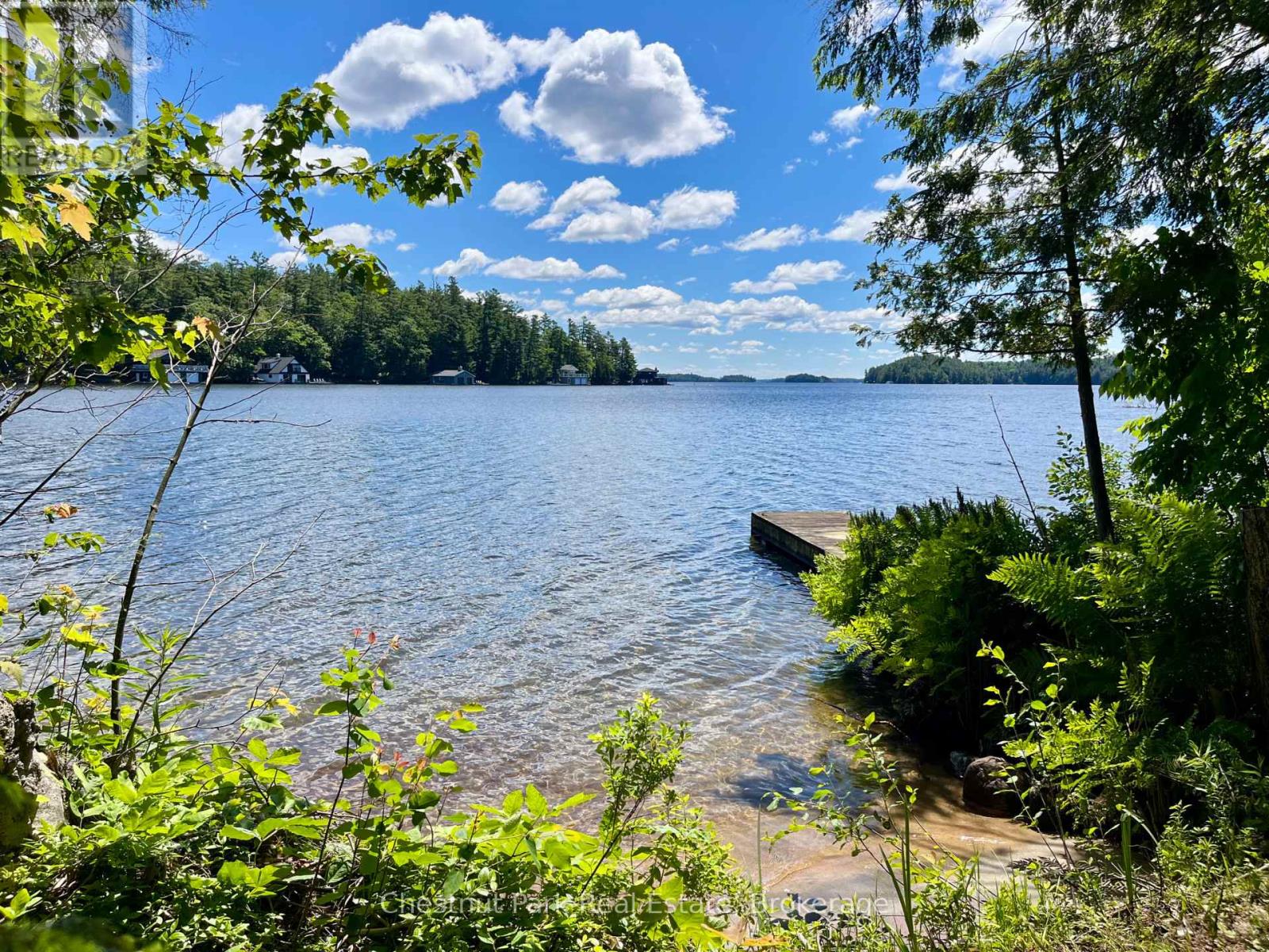 10 - 1211 Foreman Road S, Muskoka Lakes, Ontario  P0B 1J0 - Photo 4 - X13480062