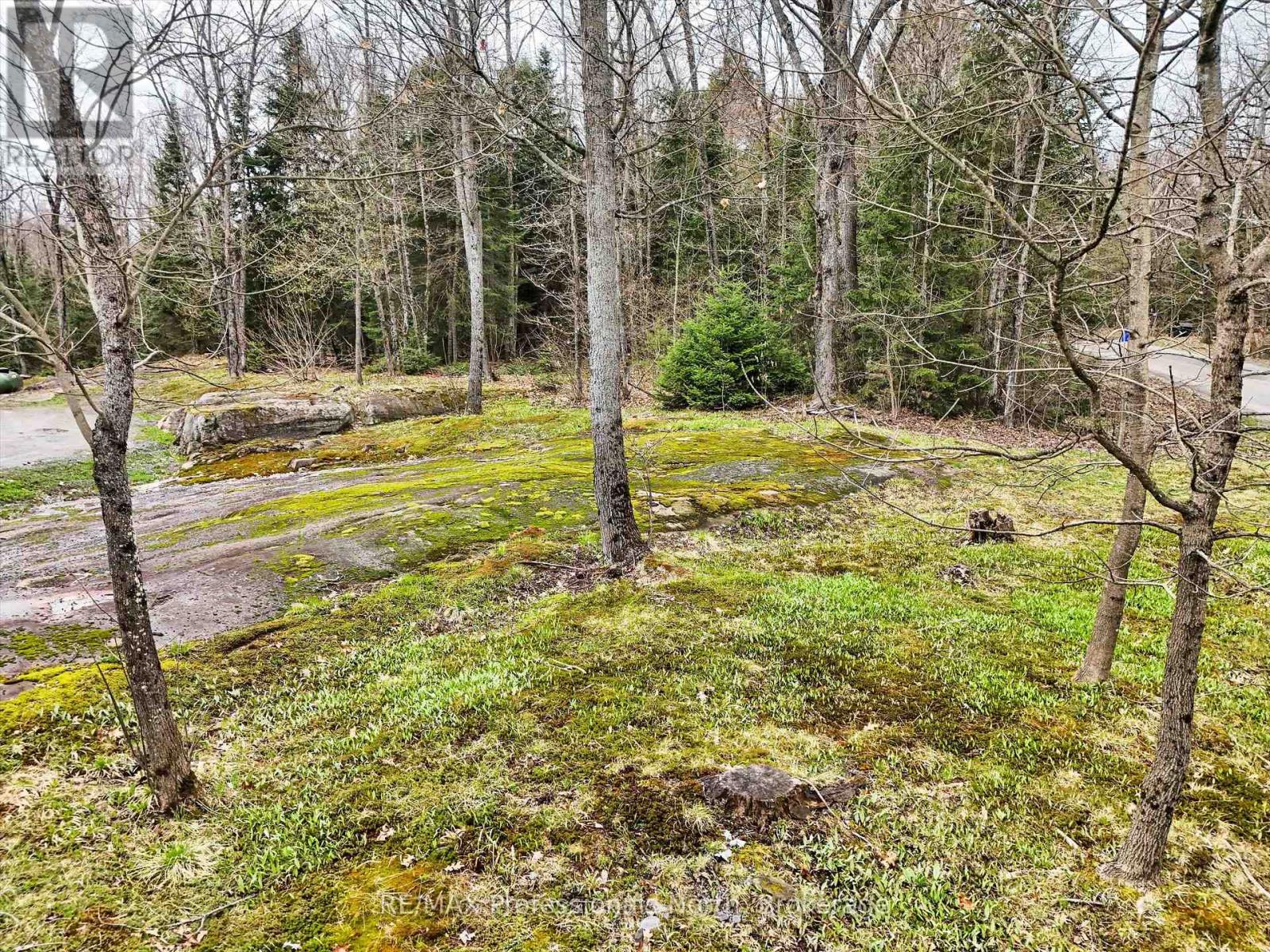 93 Mainhood's Road, Huntsville, Ontario  P0B 1M0 - Photo 46 - X13480368