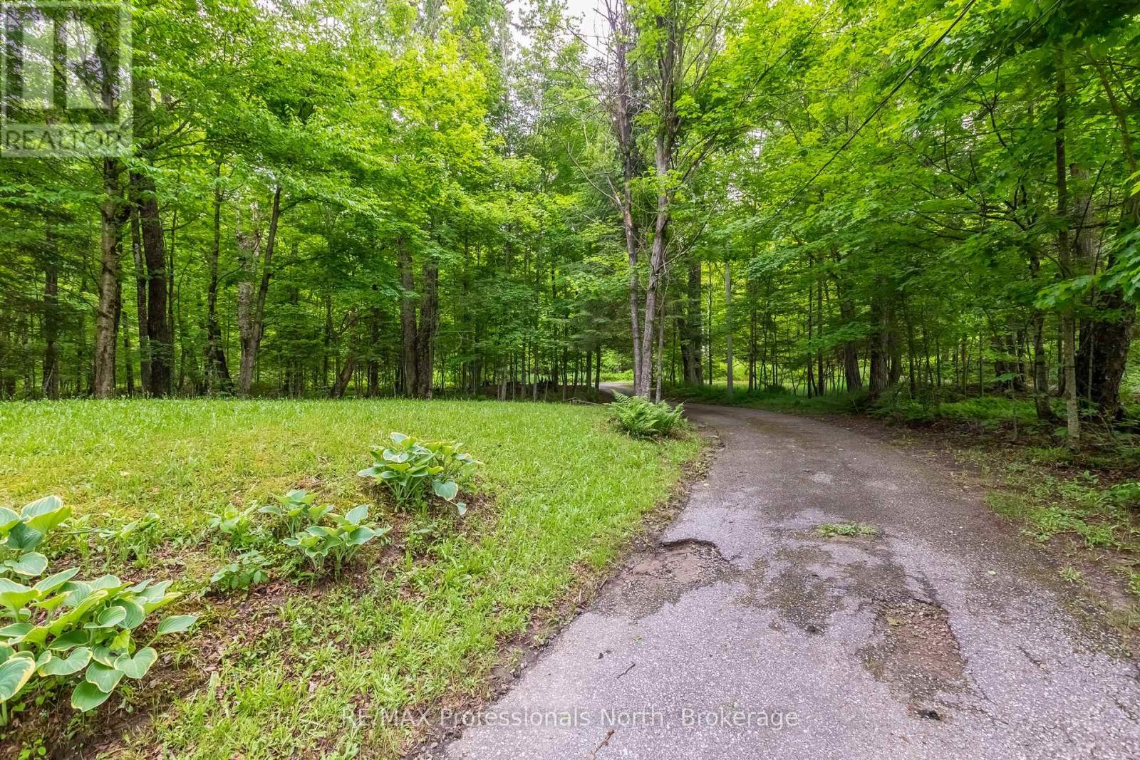 339 Sunnylea Avenue, Armour, Ontario  P0A 1L0 - Photo 2 - X13480406