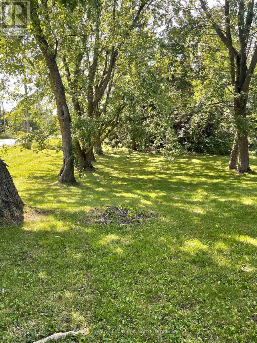 9038 County Rd 91 Road, Clearview, Ontario  L0M 1H0 - Photo 7 - S13482392