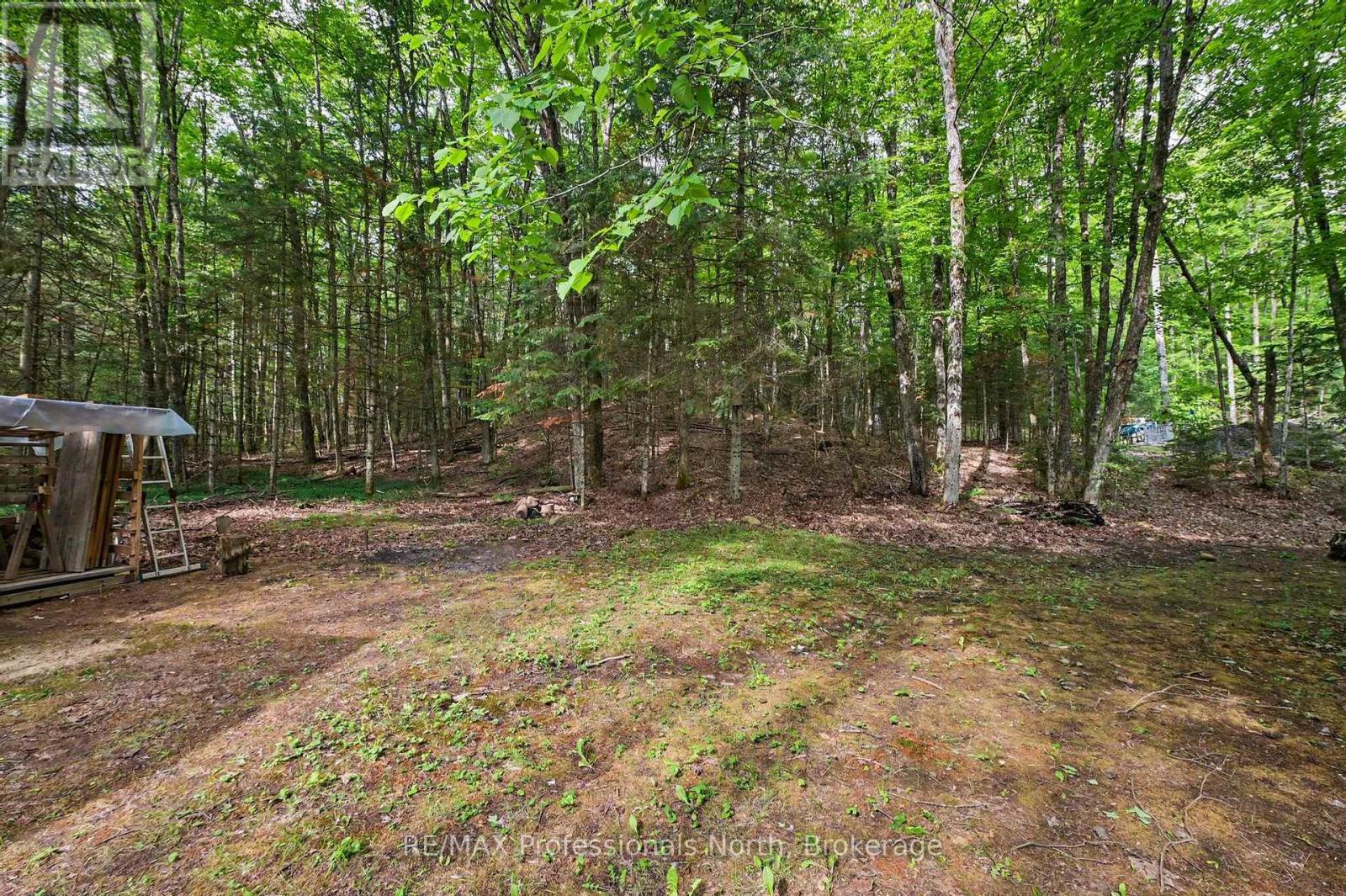 3701 Gelert Road, Minden Hills, Ontario  K0M 2K0 - Photo 42 - X13482806