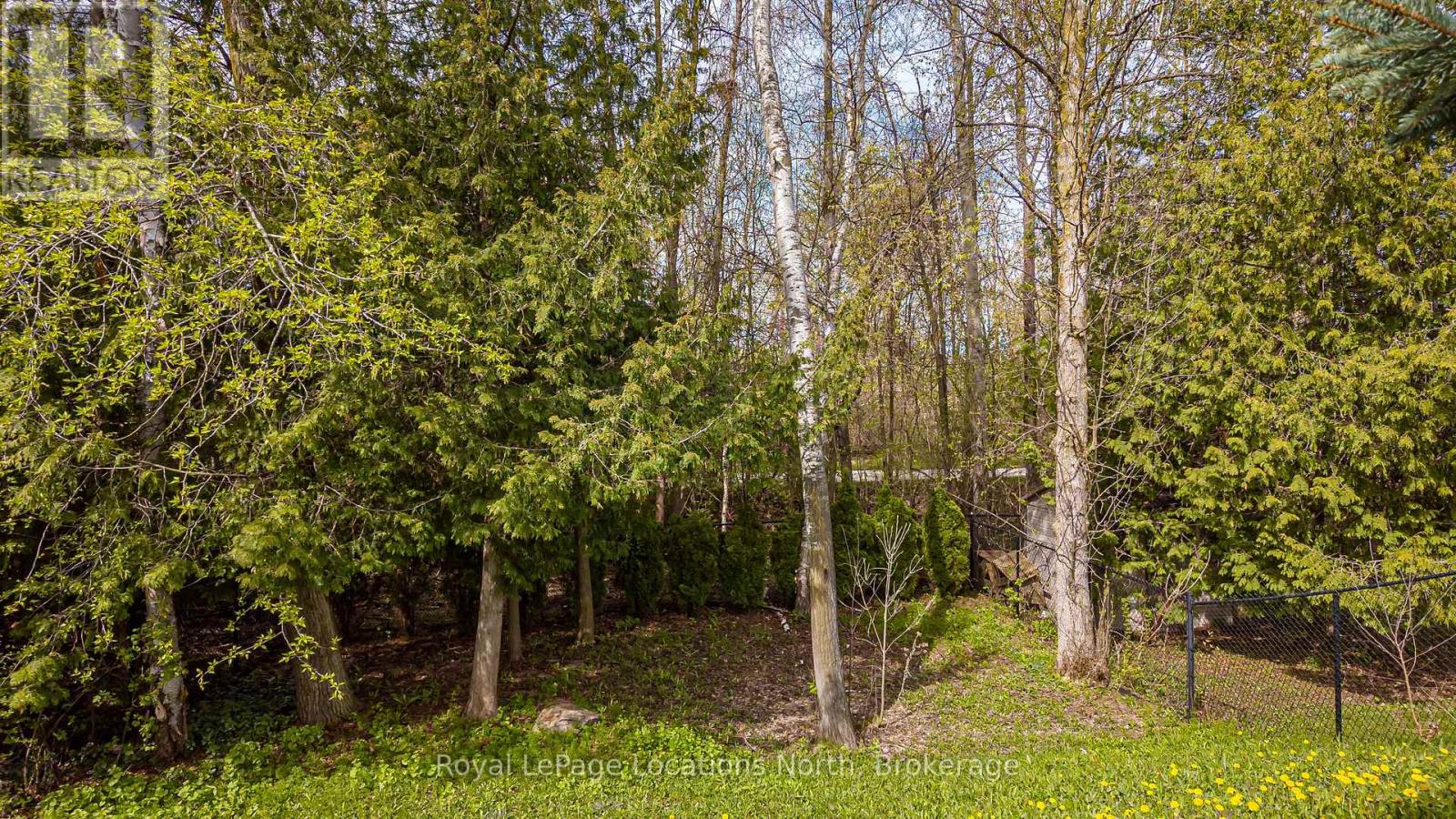 6 Williams Street, Collingwood, Ontario  L9Y 0B9 - Photo 41 - S13483202