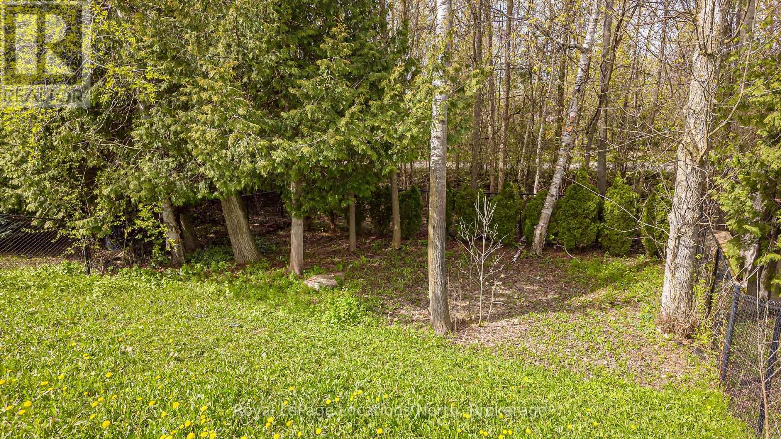 6 Williams Street, Collingwood, Ontario  L9Y 0B9 - Photo 42 - S13483202